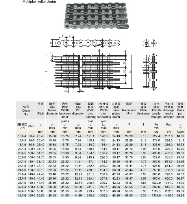 Multiplex roller chain