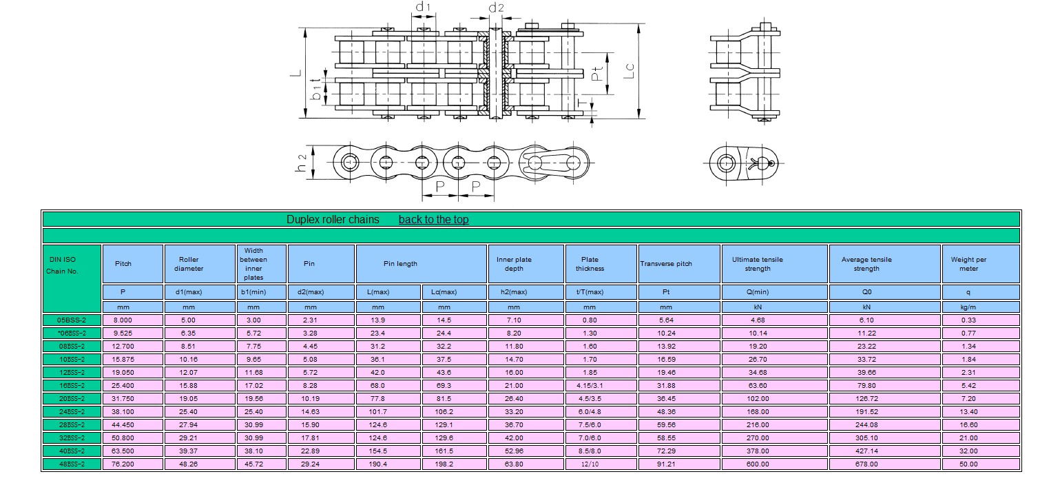 Duplex roller chain(SS)