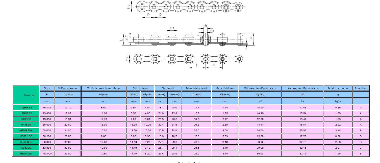 Hollow pin chain SS-2