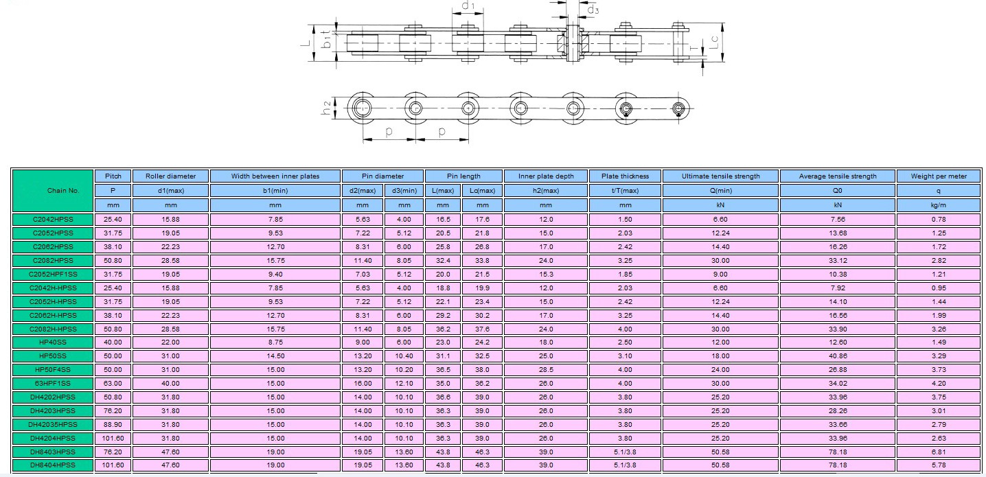 Hollow pin chain SS-3