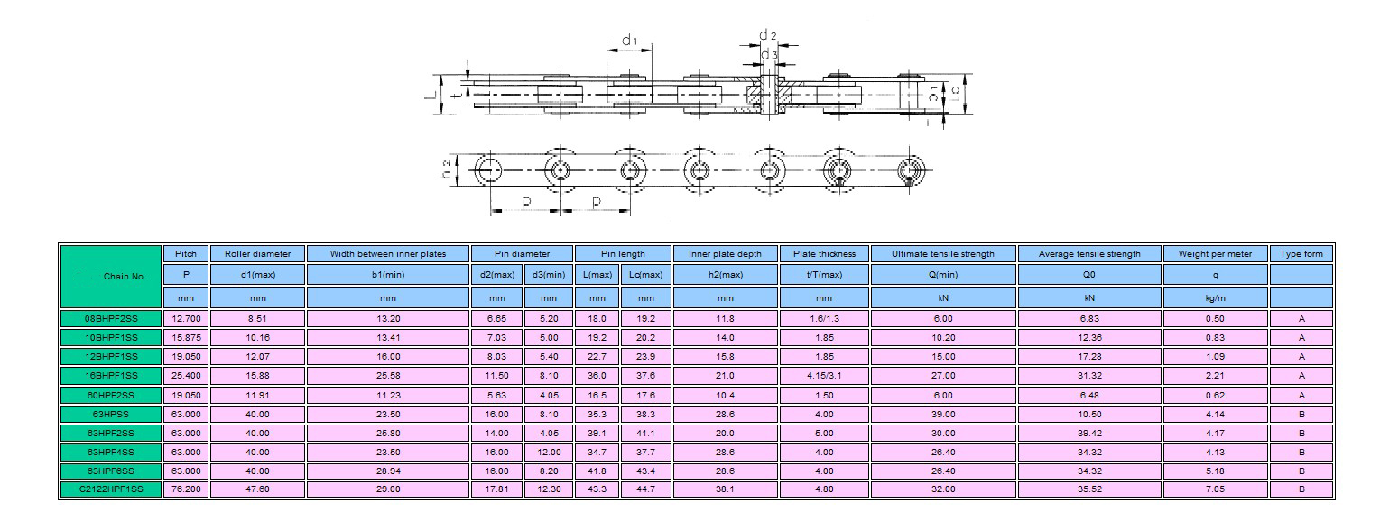 Hollow pin chain SS-4